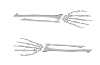 X2 Autocollants Highway Hawk (2 pcs.) "Skeleton Arm " Droit + Gauche  30cm x 7,5 cm